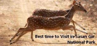 Best Time to Visit Gir Forest National Park - Sasan Gir Wildlife Sanctuary
