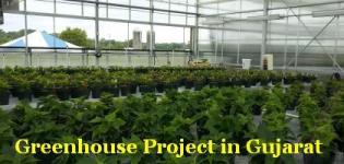 Greenhouse Project in Gujarat - Greenhouse Project Cost Consultant in Gujarat