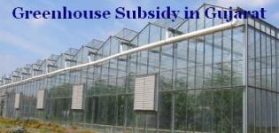 Greenhouse Subsidy in Gujarat - Subsidy on for Greenhouse in Gujarat