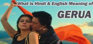 Meaning of GERUA - What is Hindi & English Meaning of GERUA Word (Dilwale Song Fame)