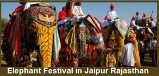 The Elephant Festival 2015 in Jaipur Rajasthan Date & Details