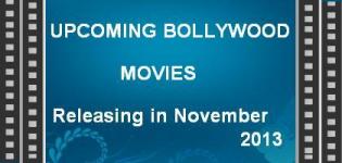 List of New Bollywood Hindi Movies Releasing in November 2013
