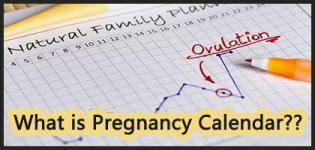 What is Pregnancy Calendar? - How to Use Fertility Calendar to Conceive or Prevent Pregnancy