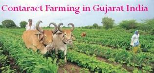 Contract Farming in Gujarat - Contract Farming in India Evolution 2012-13
