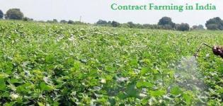 Benefits Advantages and Disadvantages of Contract Farming in India