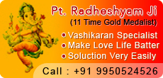 Pt RadheshyamJi