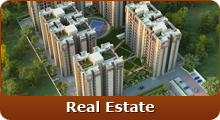 Real Estate