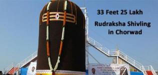 33 Feet 25 Lakh Rudraksha Shivling in Chorwad Gujarat Nominated in Limca Book of Records 2016