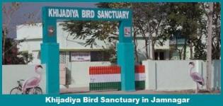 Khijadiya Bird Sanctuary & Marine National Park Jamnagar Gujarat - Address - Timings - Photos