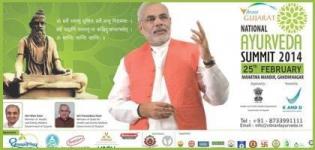 National Ayurveda Summit 2014 at Gandhinagar Gujarat