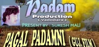 Pagal Padamni Super Hit Gujarati Movie - Star Cast & Crew Details