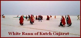 White Rann of Kutch Gujarat Photo - White Sand Desert Rann of Kutch