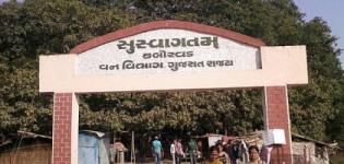 Kabirvad Bharuch Gujarat India - Kabirvad Banyan Tree Distance from Ahmedabad Bharuch Baroda