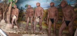 Tribal Museum Saputara near Ahmedabad
