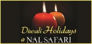 Diwali Holiday Celebration at Nal Safari near Ahmedabad