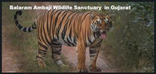 Balaram Ambaji Wildlife Sanctuary in Gujarat