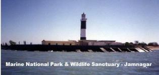 Marine National Park & Wildlife Sanctuary in Jamnagar Gujarat