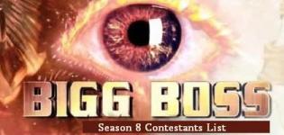 Bigg Boss Season 8 Contestants List - Bigg Boss 8 Participants Final Names 2014