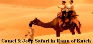 Camel and Jeep Desert Safari with Little Rann of Kutch in Gujarat