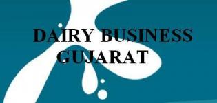 Dairy Business  in Gujarat India