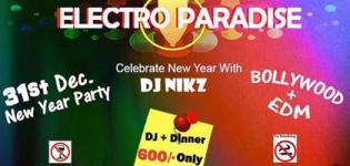 ELECTRO PARADISE New Year Party 2015 in NADIAD with DJ Nikz at Kheta Talav