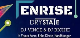 Enrise New Year Party 2016 in Gandhinagar at Venus Farm with DJ Vince and DJ Richie