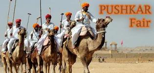 Famous Largest & Biggest Camel Animal Fair in Rajasthan India is PUSHKAR