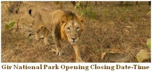 Gir National Park Opening Dates - Closing Time of Gir National Park