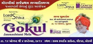 Gokul Janmashtami Mela 2014 in Morbi Gujarat