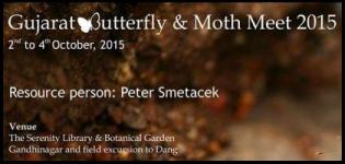 Gujarat Butterfly and Moth Meet at Koteshwar Gandhinagar from 2nd to 4th October 2015