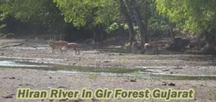 Hiran River in Gir Forest Junagadh Gujarat - Information - Details - Photos