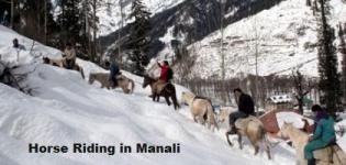 Horse Riding in Manali Himachal Pradesh