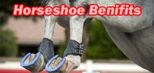 Horseshoe Astrology - Ghode Ki Naal Benefits - Significance Power & Meaning of Horseshoe