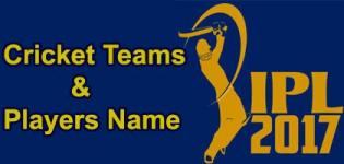 IPL 2017 Cricket Teams Players Name