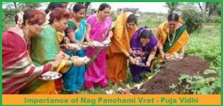 Importance of Nag Panchami Vrat Katha Story - Details For Puja Vidhi -  Food Fasting - Celebration