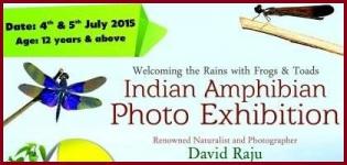 Indian Amphibian Photo Exhibition in Ahmedabad by Sundarvan on 4 & 5 July 2015