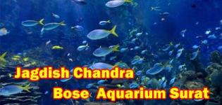 Jagdishchandra Bose Municipal Aquarium in Surat at Adajan Village Details - Timings - Photos