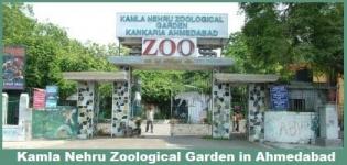 Kamla Nehru Zoological Garden in Ahmedabad - Address Timings Tickets of Kamla Nehru Zoological Park