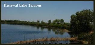 Kanewal Lake in Tarapur Gujarat