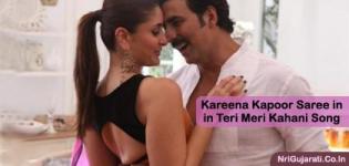 Kareena Kapoor Saree in Teri Meri Kahani Song - Black and Pink Designer Saree Blouse Photos
