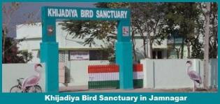 Khijadiya Bird Sanctuary & Marine National Park Jamnagar Gujarat - Address - Timings - Photos