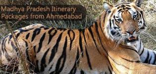 Madhya Pradesh Tour Packages / MP Travel Itinerary from Ahmedabad Gujarat