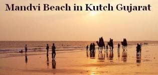 Mandvi Beach in Kutch Gujarat - Photos of Mandvi Beach Images Pics