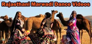 Marwadi Dance Videos - Best Rajasthani Dance Performance