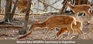 Mount Abu Wildlife Sanctuary in Rajasthan India - Timings Information of Wildlife Sanctuary