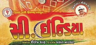 Mr. India Gujarati Movie 2015 - Upcoming Release of Shailesh Shah Prince Parth Films