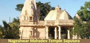 Nageshwar Mahadev Temple Saputara - Nageshwar Temple Gujarat