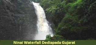 Ninai Waterfall Sagai Village Dediapada - Location and Photos of Ninai Falls Gujarat