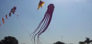 Octopus Kite Design - Creative Shapes Latest Designer Kites at RAJKOT Kite Festival 2014