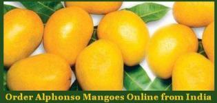 Order Alphonso Mangoes Online from India - Alphonso Mango Online Shopping